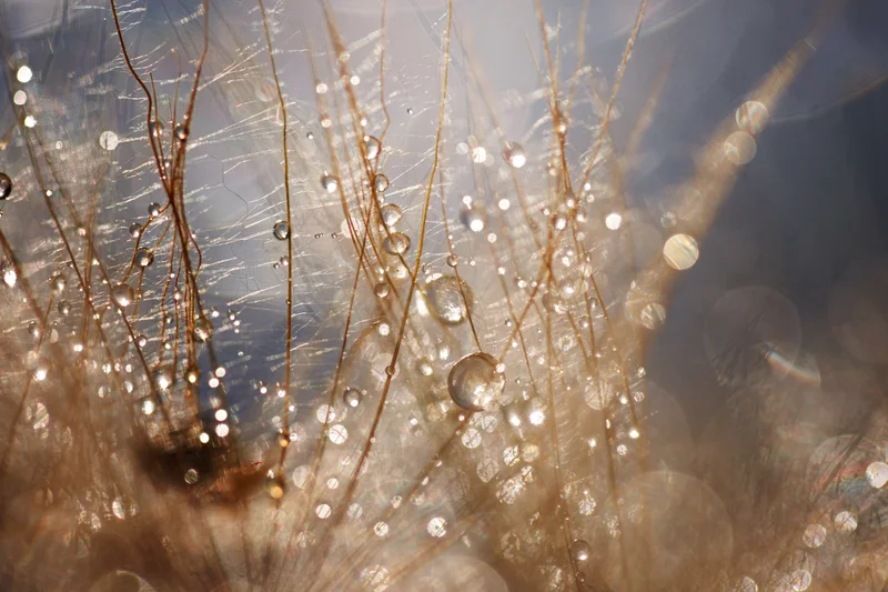 bg_image